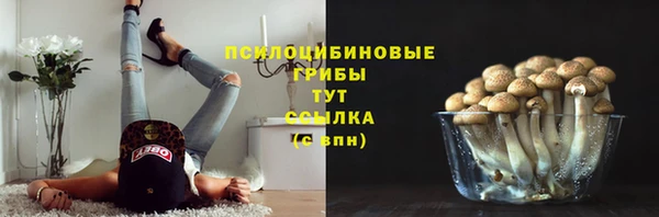 мдпв Новозыбков