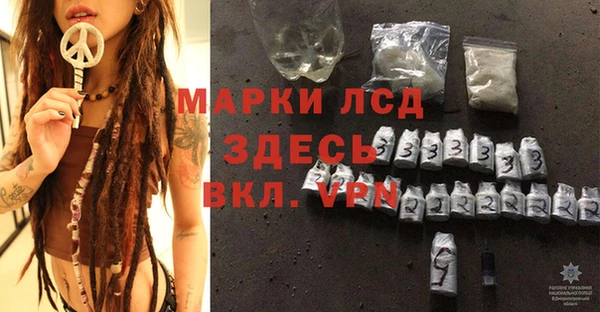 мдпв Новозыбков
