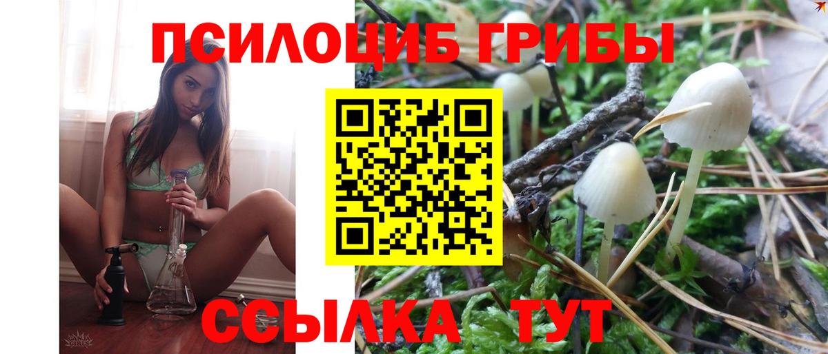 Псилоцибиновые грибы Psilocybe  Псилоцибиновые грибы Cubensis  Вход с VPN  Алейск 