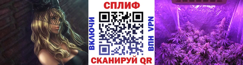 Бошки Шишки VHQ  блэк спрут как зайти  Алейск  что такое  